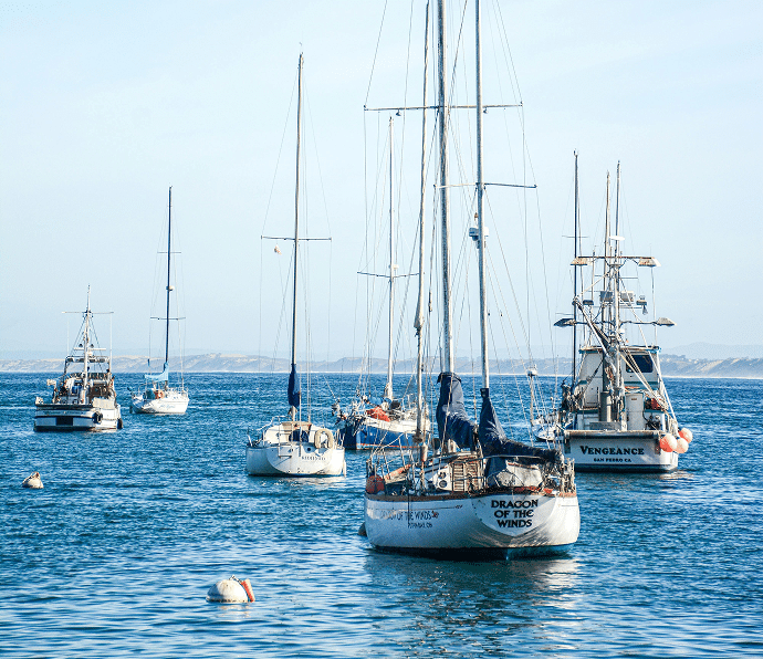 Sailboats docked in marina harbor – yacht rental destination